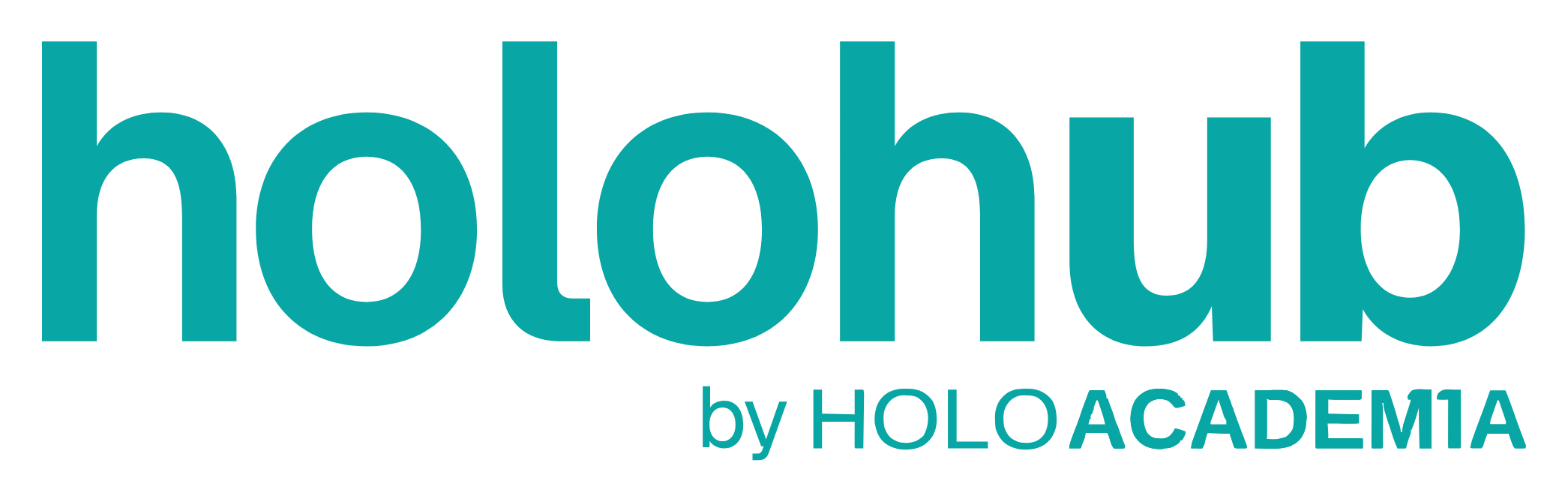 Holo HUB